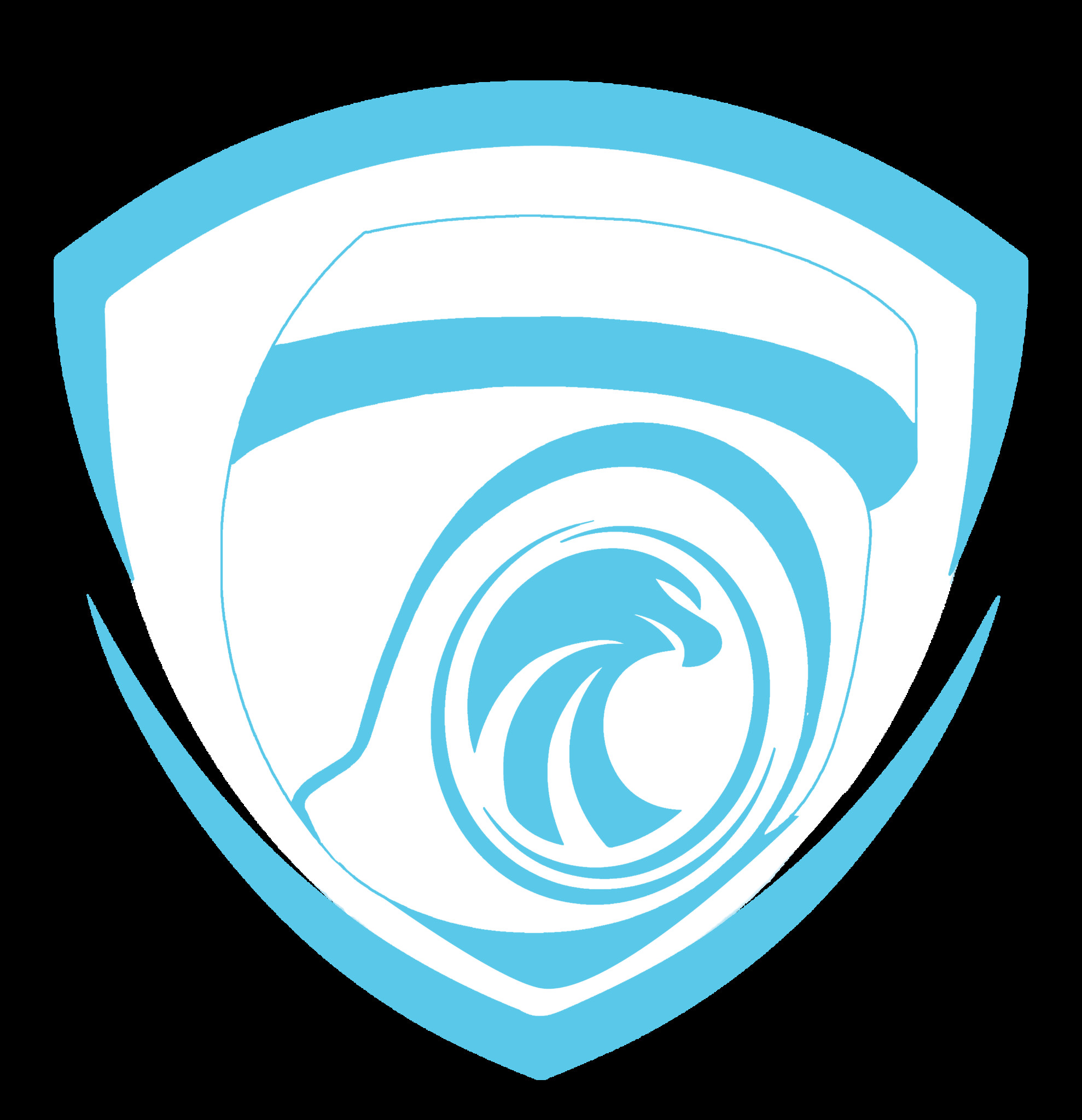 TRUSTED EAGLE SECURITY