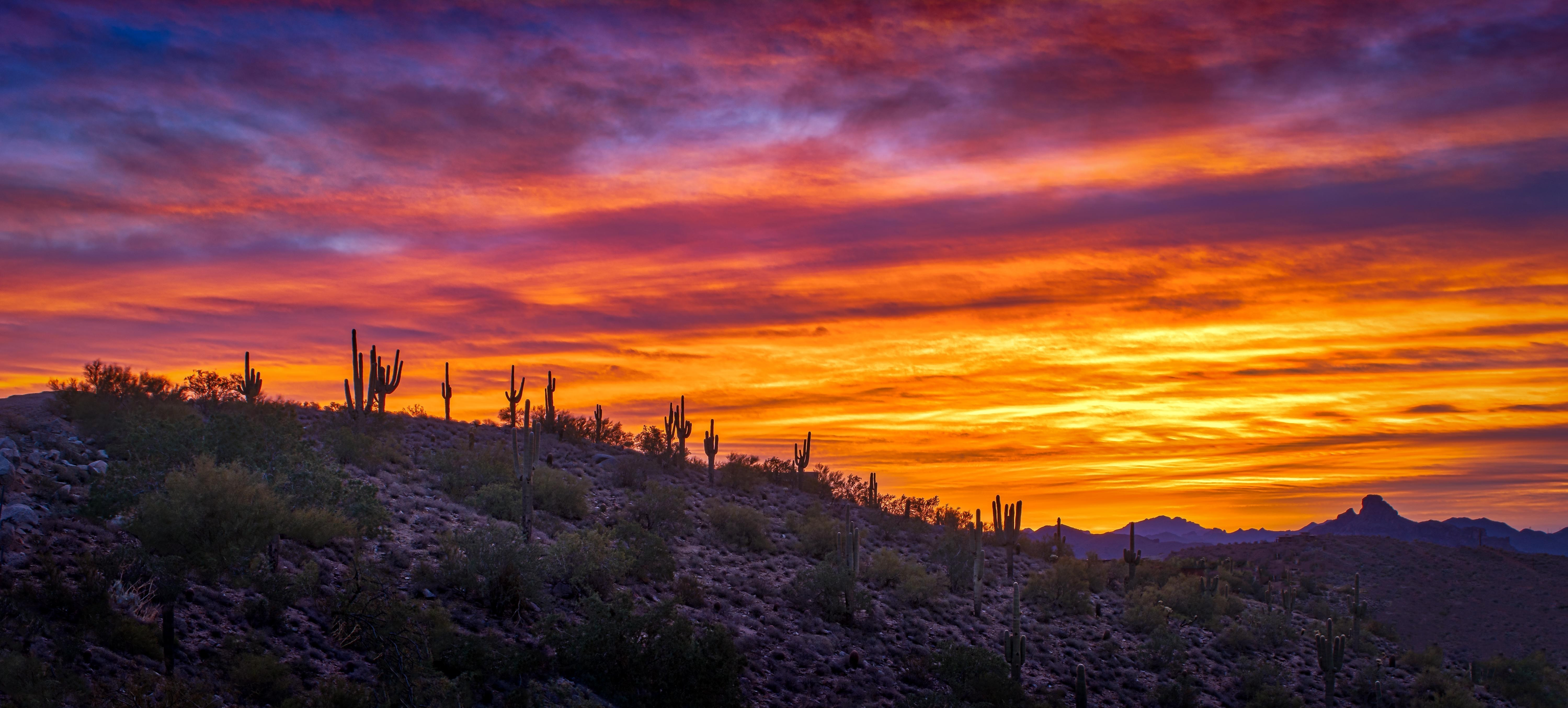Pima Behavioral Health