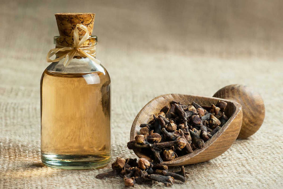 Clove Essential Oil: 5 Ways to Make Your Home Cosy This Winter – Into The Wild