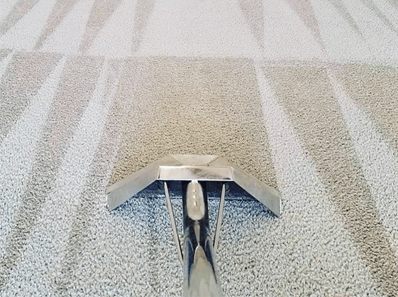 Carpet Cleaning Stansted Mountfitchet CM24 | 22 000+ Positive Reviews