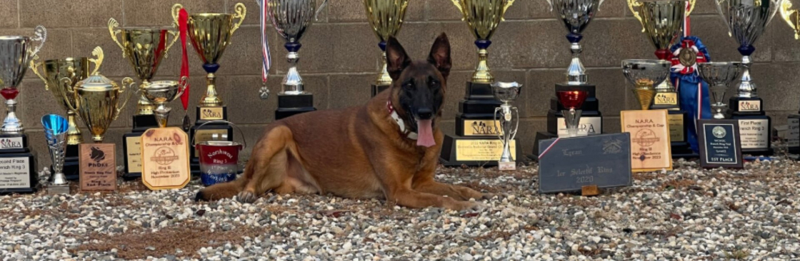 Prestige  Protection Dogs