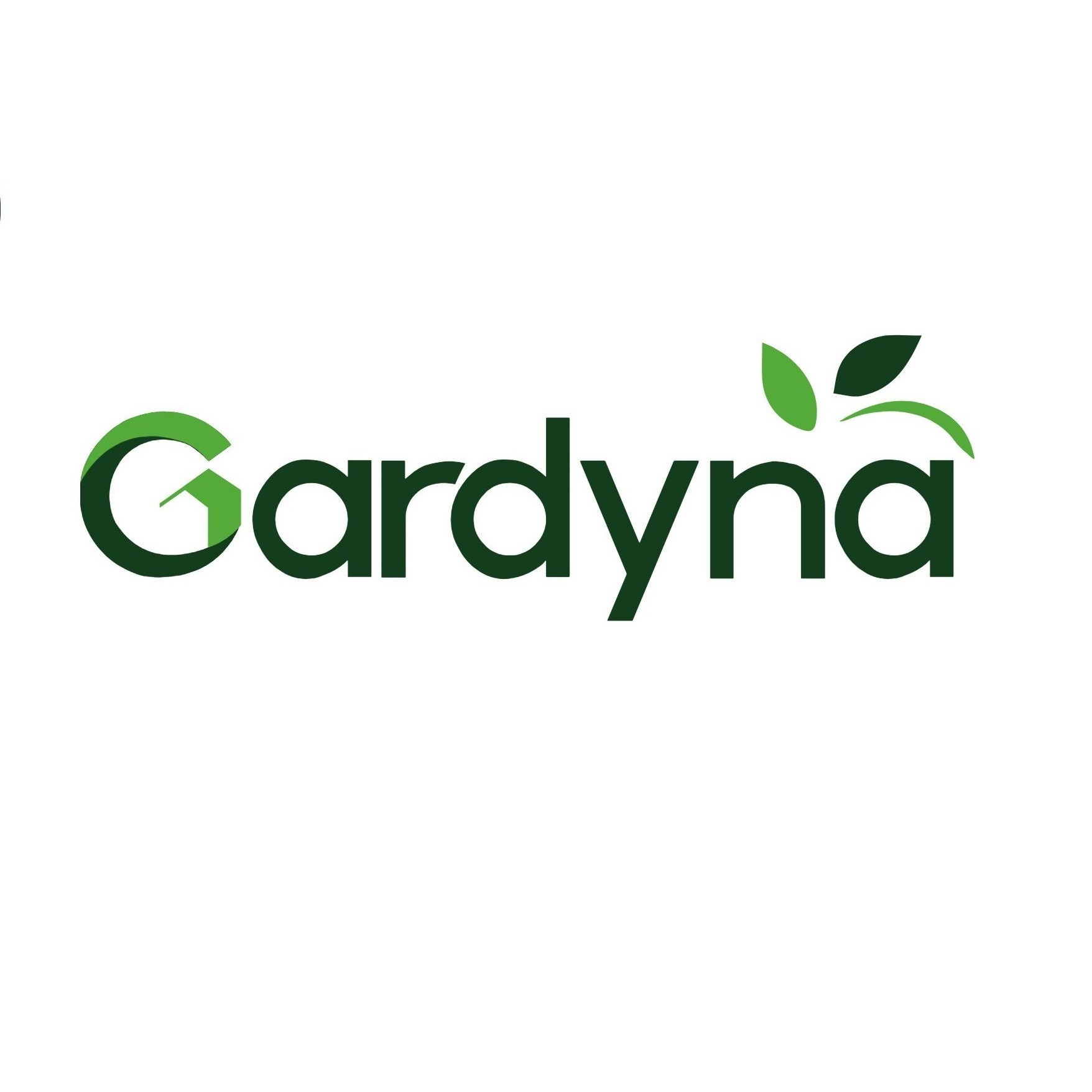 Gardyna