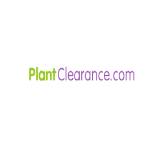 Plant Clearance